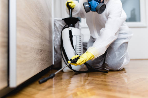 Flea Control Services in Princeton, WV