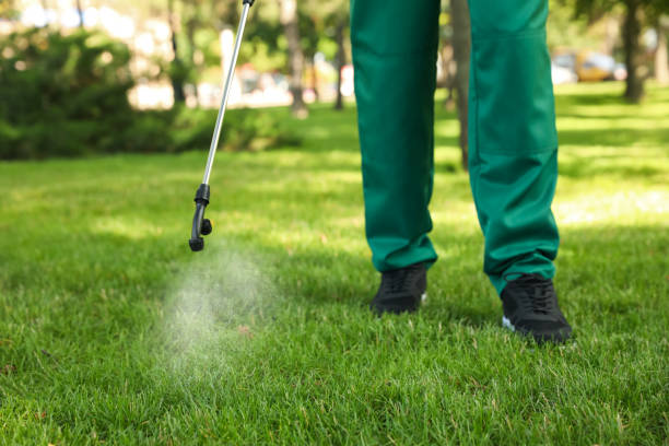 Best Pest Control for Restaurants  in Princeton, WV