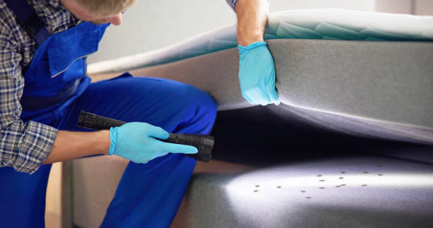 Best Pest Removal Services  in Princeton, WV