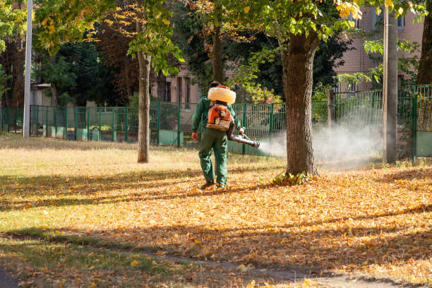 Best Flea Control Services  in Princeton, WV