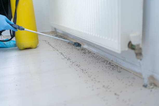 Professional Pest Control in Princeton, WV