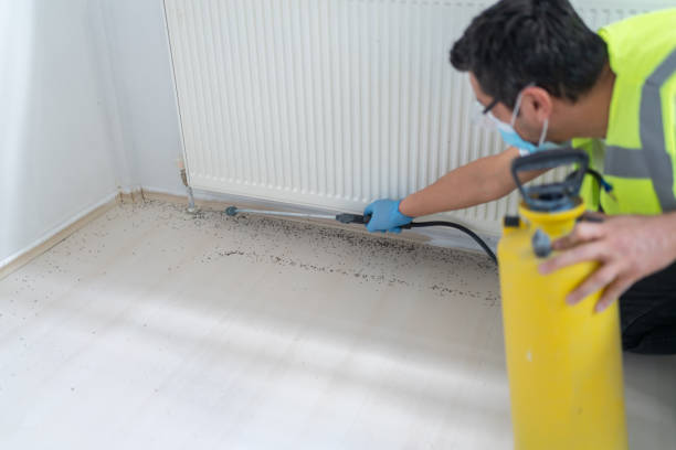 Best Commercial Pest Control Services  in Princeton, WV