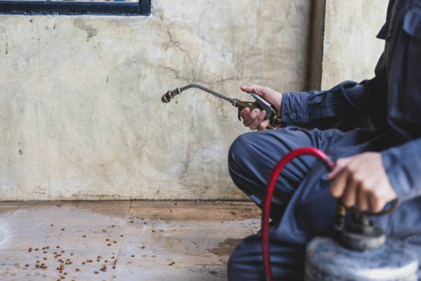 Best Affordable Pest Control Services  in Princeton, WV